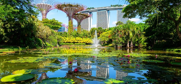 Water pond with tree sculptures and hotel in background Singapore