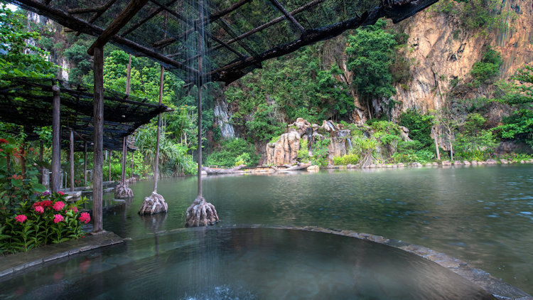 swings over hot springs pool in jungle