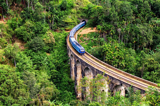 Blue train on stone bridge through green jungle