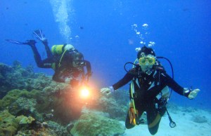 Two people scuba diving under water