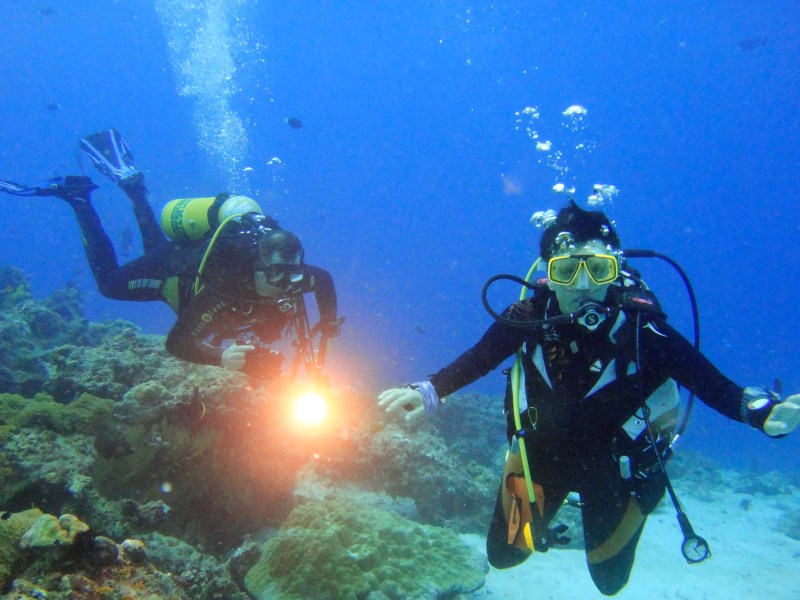 Two people scuba diving under water