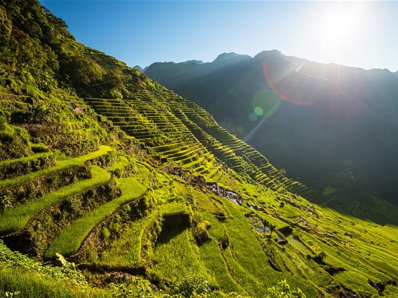 Green rice paddy terraces